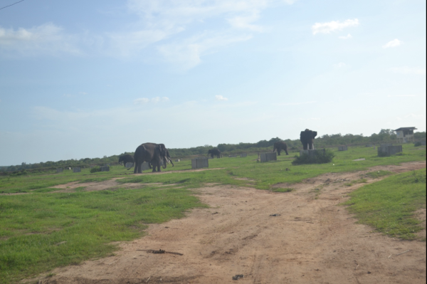 Indonesia’s plan to rezone national…