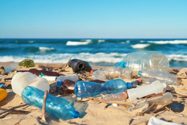 Plastic pollution costs Morocco $1.2&hellip;