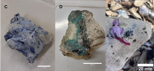 Plastic fused to coral rubble raises new&hellip;