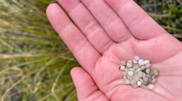 photo of Illinois First Great Lakes State To Enact Plastic Pellet Pollution Law image