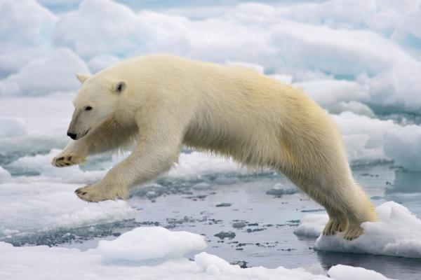 Loss of a rare lake reveals how warming&hellip;
