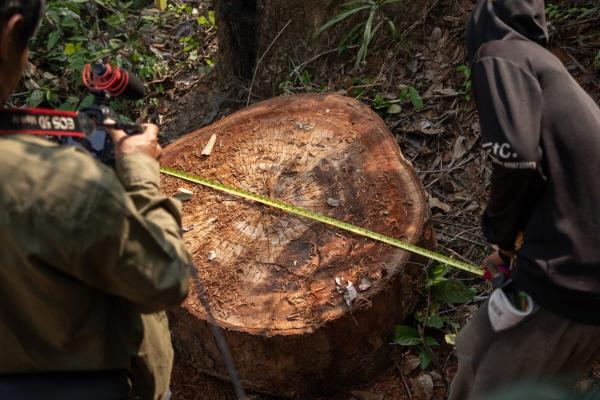 New book unearths environmental…