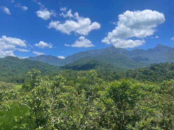 Brazil’s Atlantic Forest Indigenous&hellip;