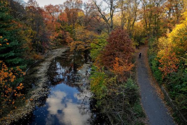 Part of the New York City Park…