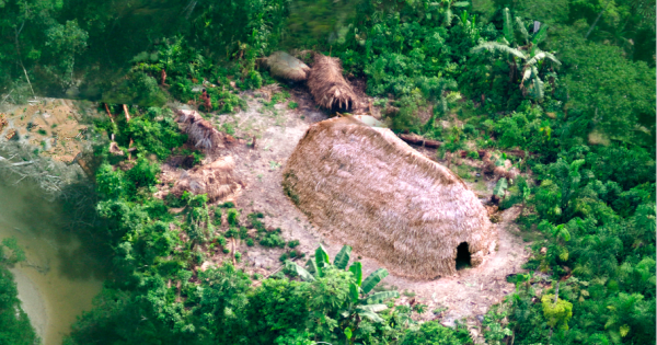 Respecting uncontacted peoples can…