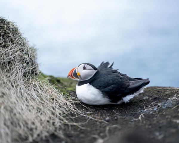 photo of Uncertainty about weakening Atlantic currents isn’t a reason to wait but to act (commentary) image