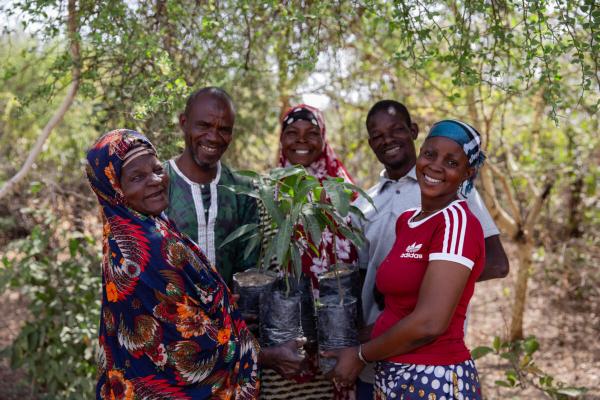 photo of Collaboration, data and tracking move Africa’s Great Green Wall toward its goal image