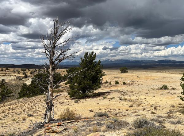 Conservationists worry a Trump re-do…