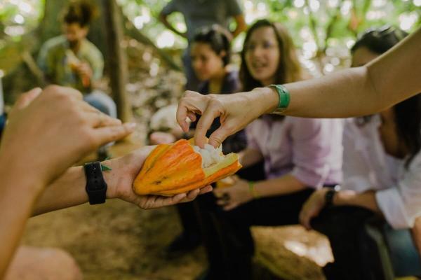 Brazil can protect its forests while…