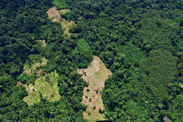 Roads, loggers close in on an&hellip;