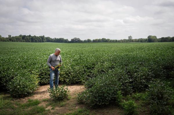 photo of Fossil Fuel Interests Are Working To Kill Solar in One Ohio County. The Hometown Newspaper Is Helping image