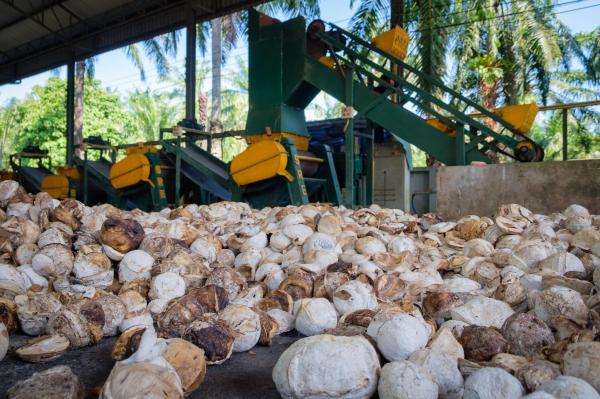 Thai rubber smallholders race to meet&hellip;