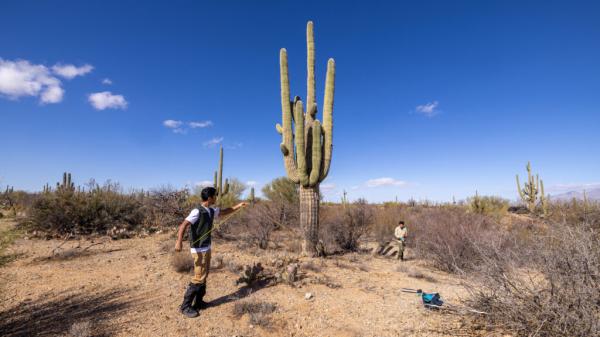 Searching for Hidden Fungi in the…