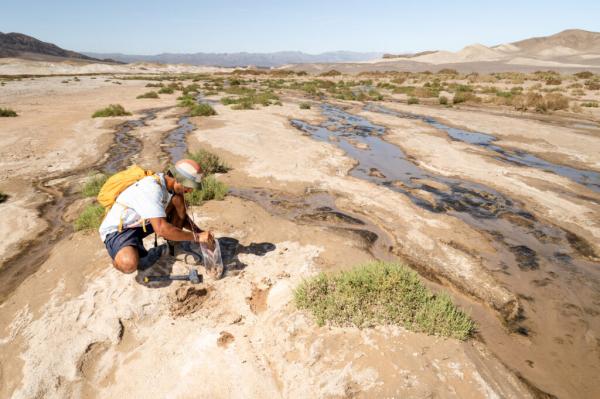 photo of Threads of Earth’s Underground Fungal Networks Are Long Enough to Reach Beyond the Solar System image