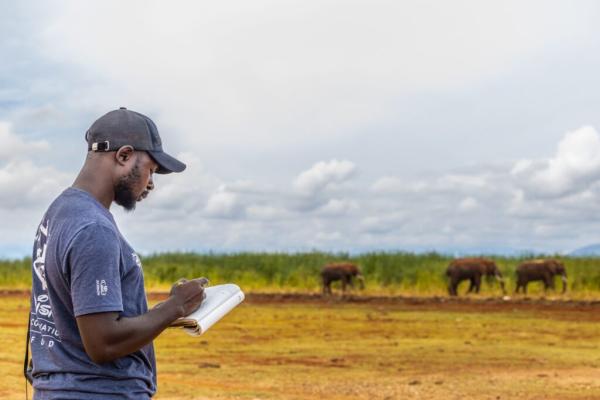African wildlife conservation is local…