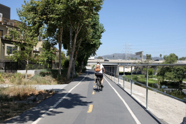 An Olympian Task: Replicating Paris’s…