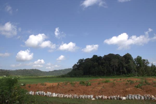 Communities say sacred groves are&hellip;