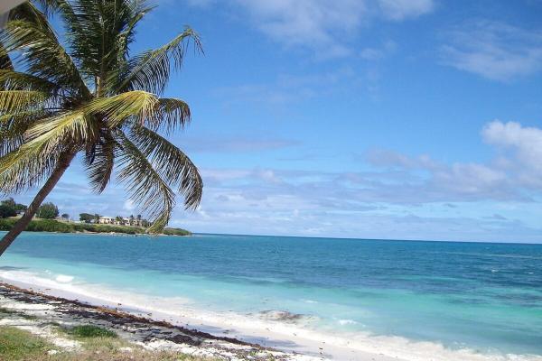 Small island nations provide big…