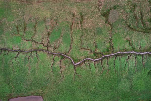 photo of Why are the British flooding parts of their coast? image