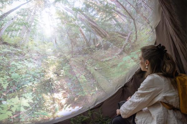 A stunning exploration of climate grief