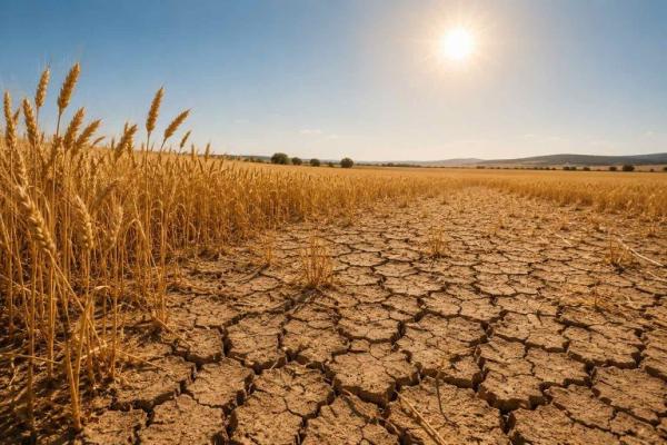 Climate change, pesticides, productivity&hellip;