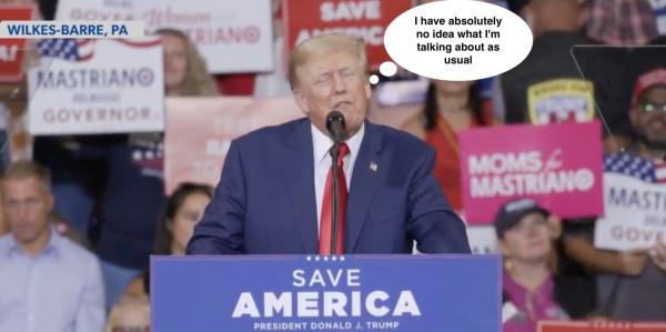 If you think Trump will bring kei cars…