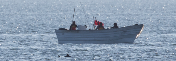 Mexico considers shrinking protected areas for endangered&hellip;