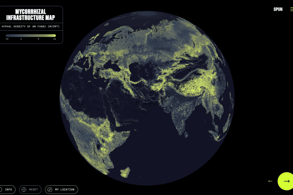 Global map of Earth’s mycorrhizal&hellip;