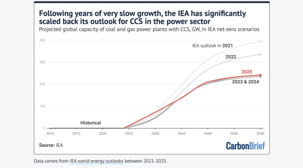 Q&A: Does the World Need “Carbon&hellip;