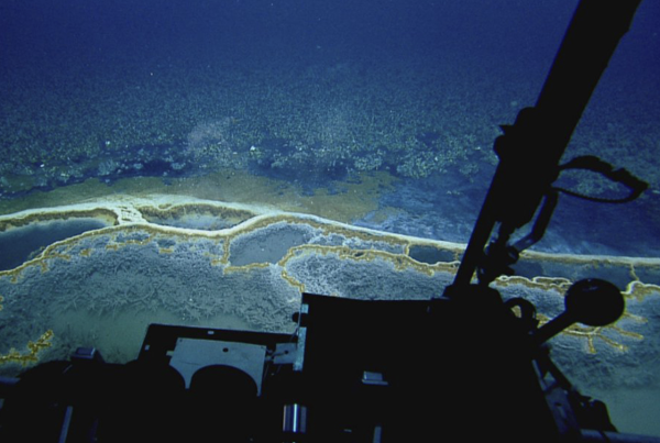 Gulf of Mexico’s unique Orca Basin&hellip;