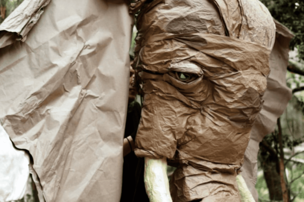 ‘Carnival of the Nearly Extinct&hellip;