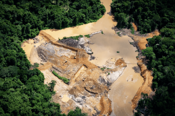 US contractors reportedly purchase tin&hellip;