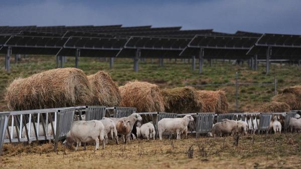 American farmers bet on solar. Then&hellip;