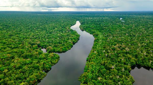 Don’t exclude nature from carbon…