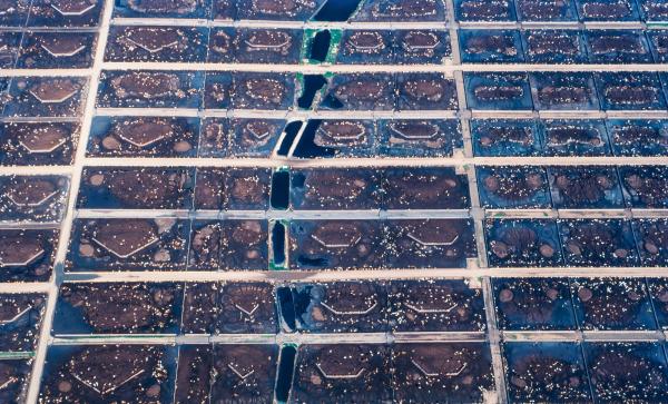 Why XPRIZE is targeting methane…