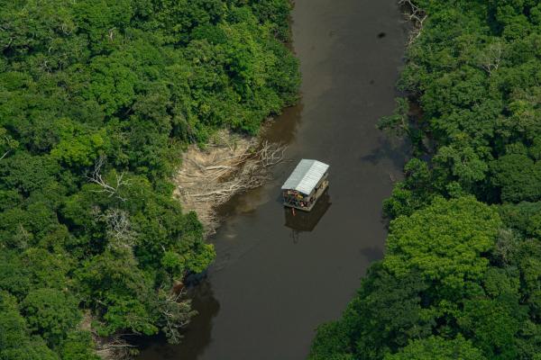 Organized crime adds to environmental…