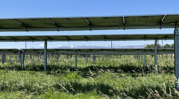 Solar Arrays Can Aid Grasslands During…