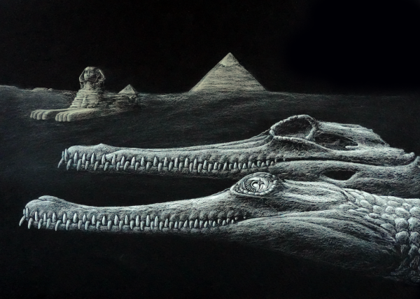 New crocodile species found fossilized&hellip;