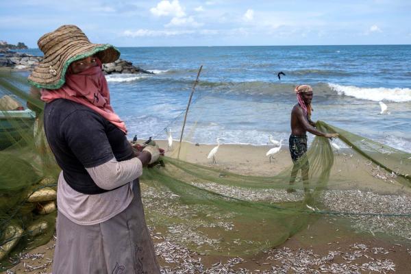 45% of wild-caught fish could be fed to&hellip;