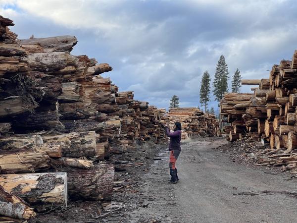 California wood pellet plants canceled…