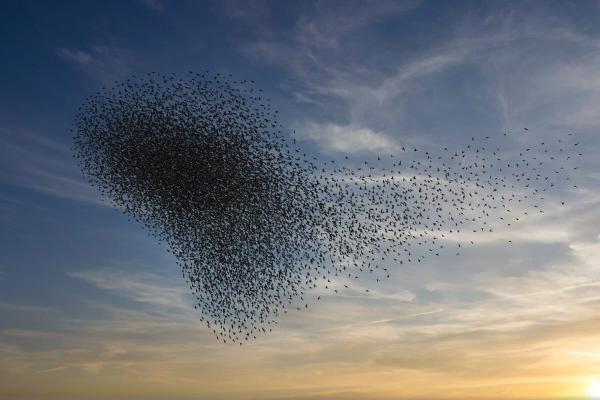 Trust-based philanthropy: Lessons from…