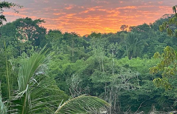 Top ethnobotanist Mark Plotkin’s COP30…