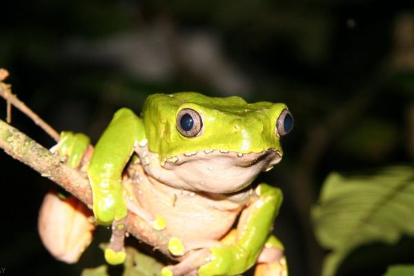 The hidden environmental cost of…