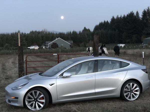 photo of Which Tesla Is Better For Road Trips, Model 3 Or Model S? image