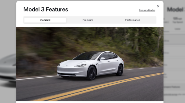 Everything Different In The New, Cheap…