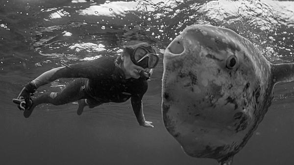 Tierney Thys, marine biologist and&hellip;