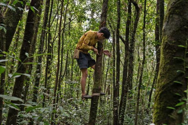 Bengal tigers in Cambodia?&hellip;