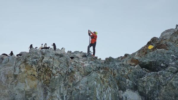 Penguins are breeding much earlier in a&hellip;