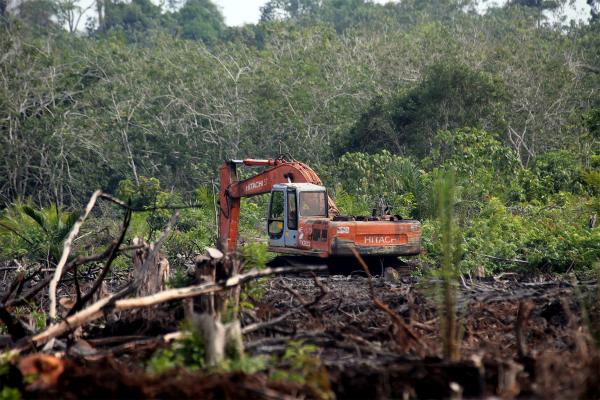 Ditches on peatland oil palm plantations&hellip;