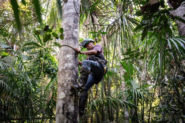 The valuable peatlands of Peru’s…
